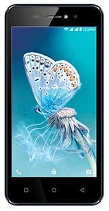 Intex